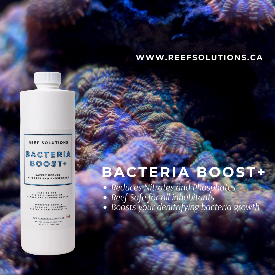 Bacteria Boost+ Biological Enhancer and Nutrient Control - 500 ml - Limited Time Free Shipping