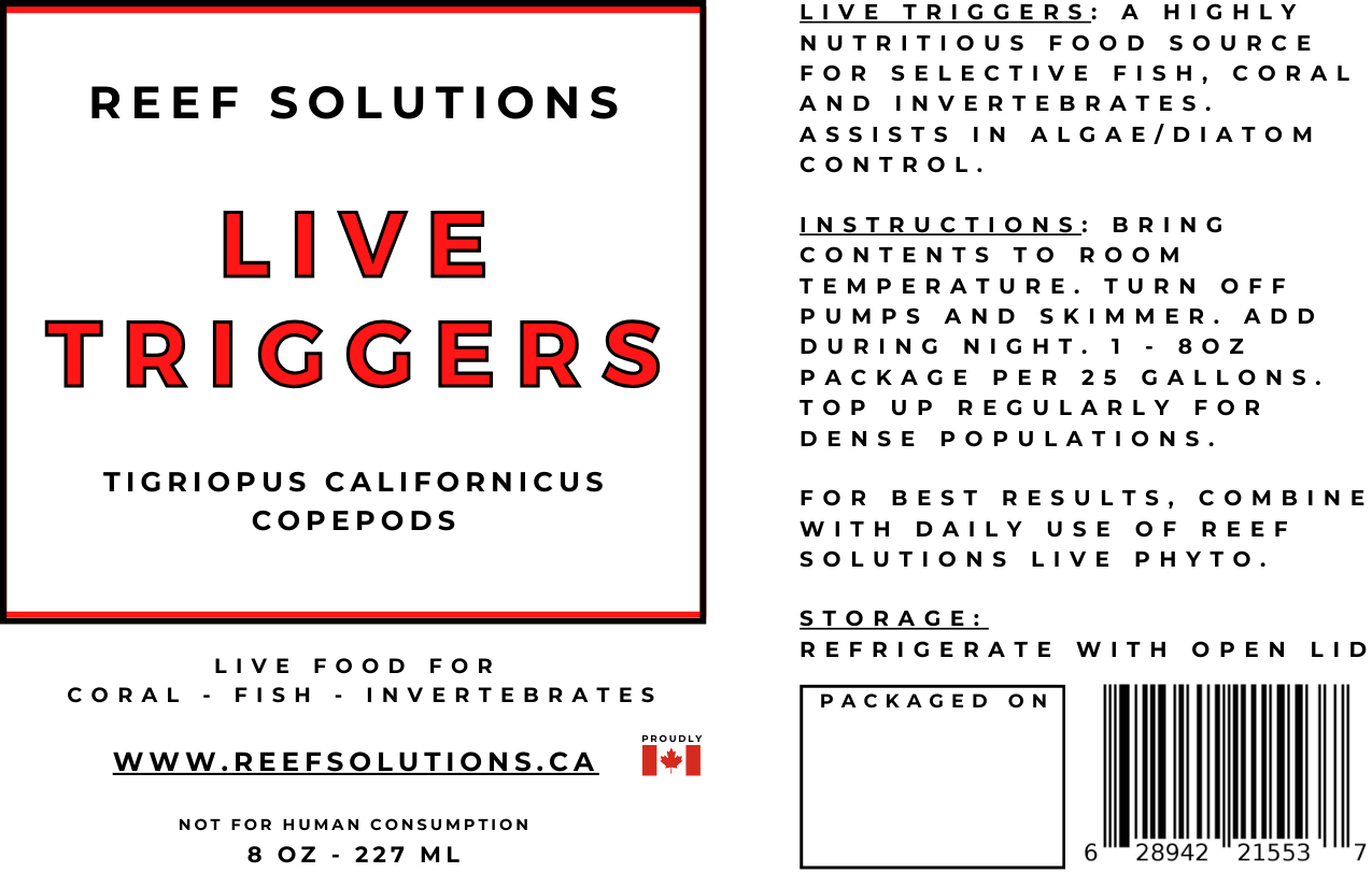 Live Triggers - Tigriopus Californicus Live Copepods - 250 ml