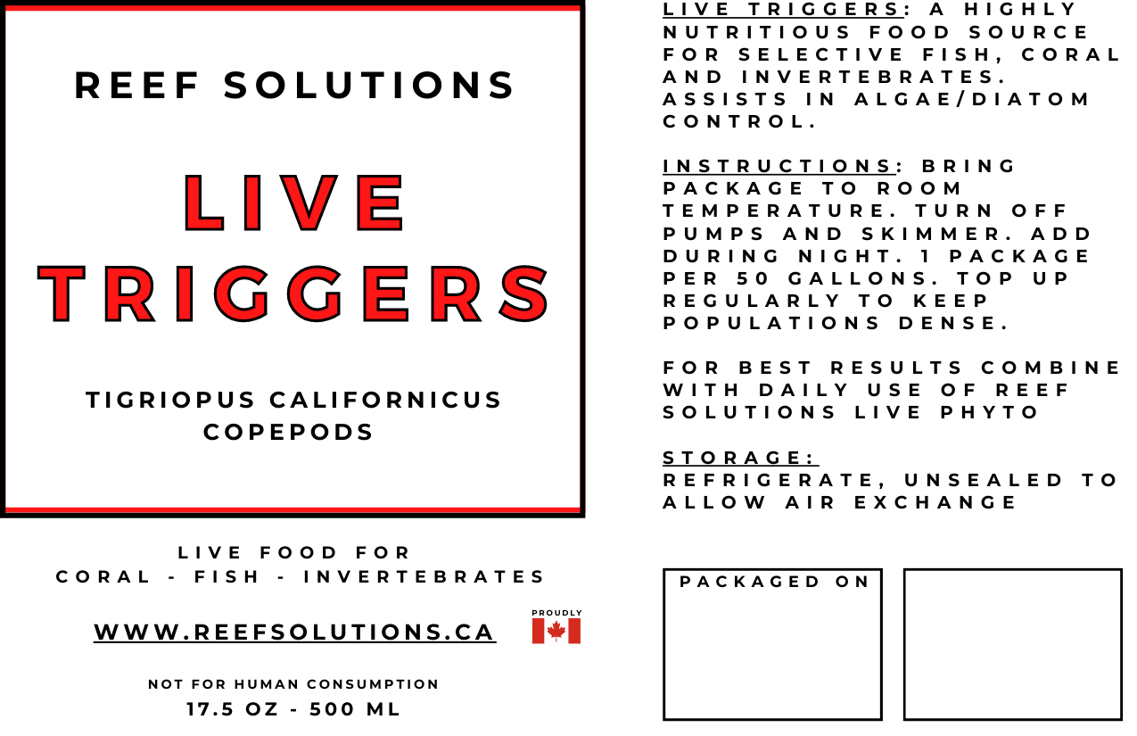 Live Triggers - Tigriopus Californicus Live Copepods - 500 ml - Limited Time Free Shipping