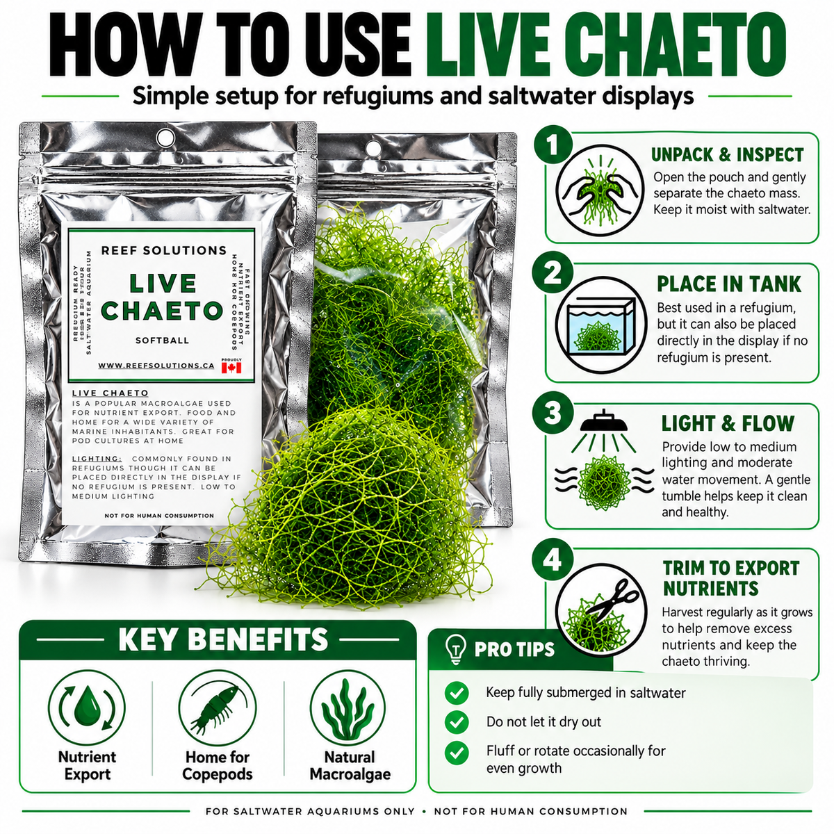 Reef Solutions - Live Chaetomorpha Macroalgae (Chaeto) - Softball Portion