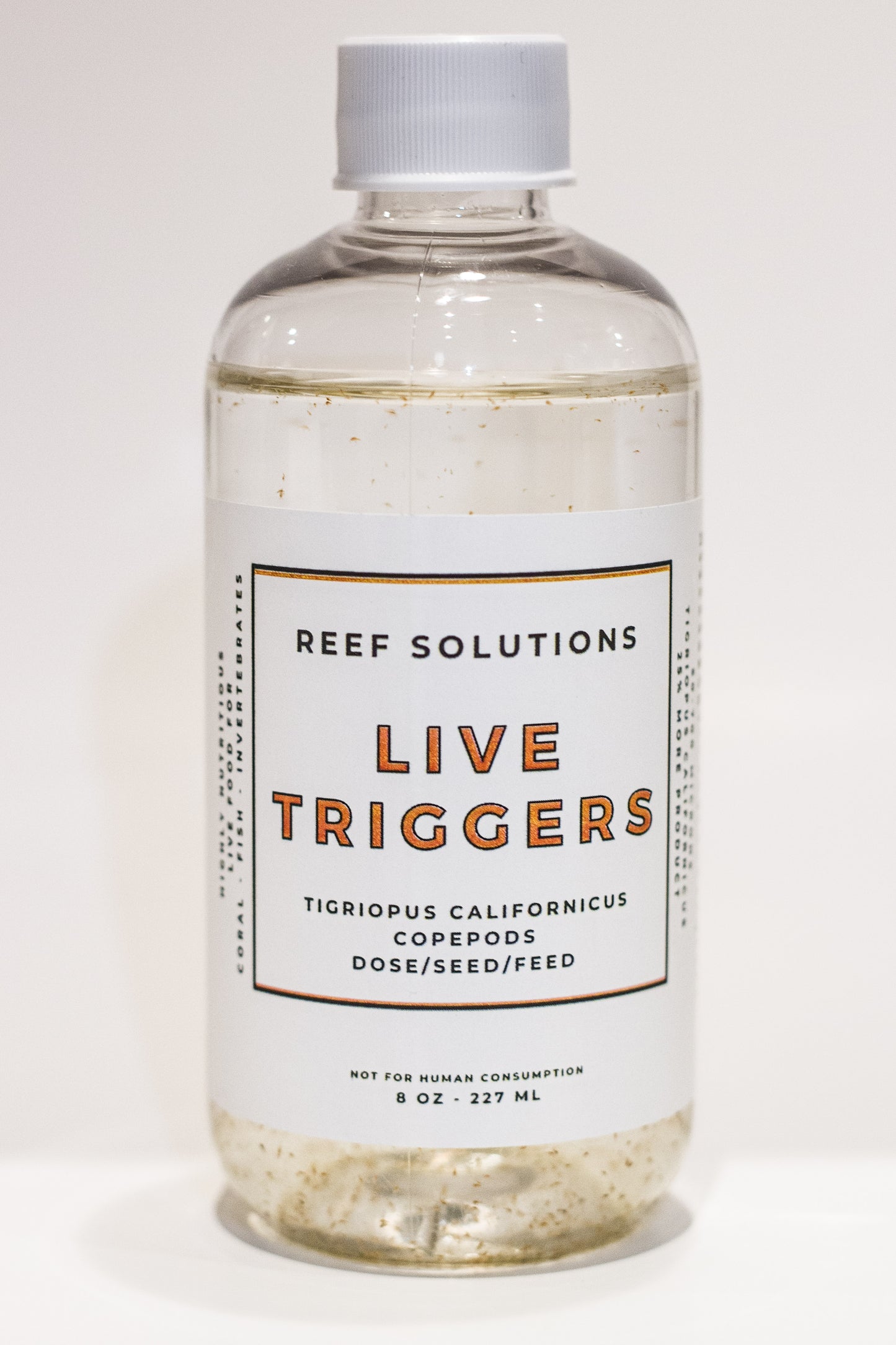 Live Triggers - Tigriopus Californicus Live Copepods - 250 ml