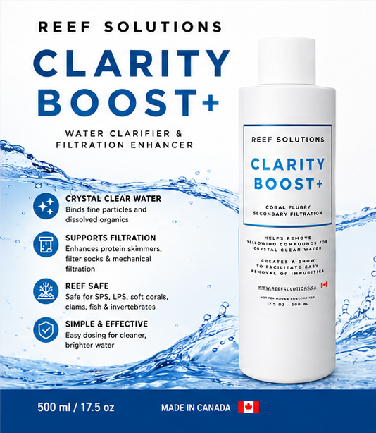 Clarity Boost+ Water Clarifier and Filtration Enhancer - 500 ml