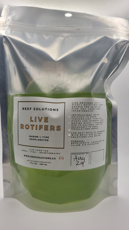 Custom Order - Live Rotifers - Zooplankton - 500 ml