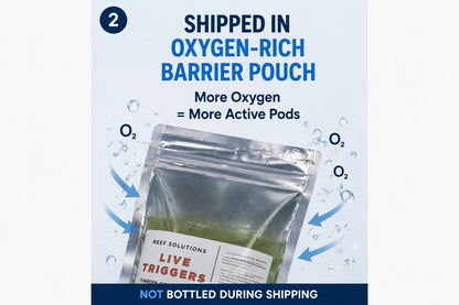 Live Triggers - Tigriopus Californicus Live Copepods - 500 ml
