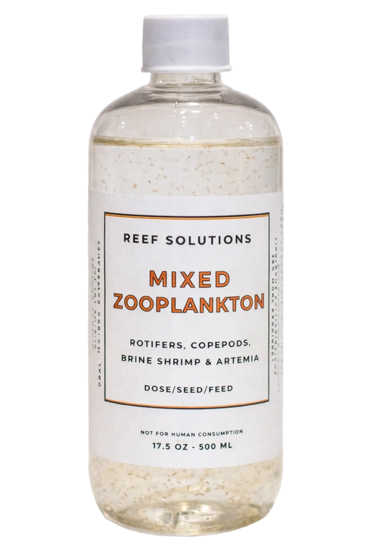 Mixed Zooplankton - 500ml