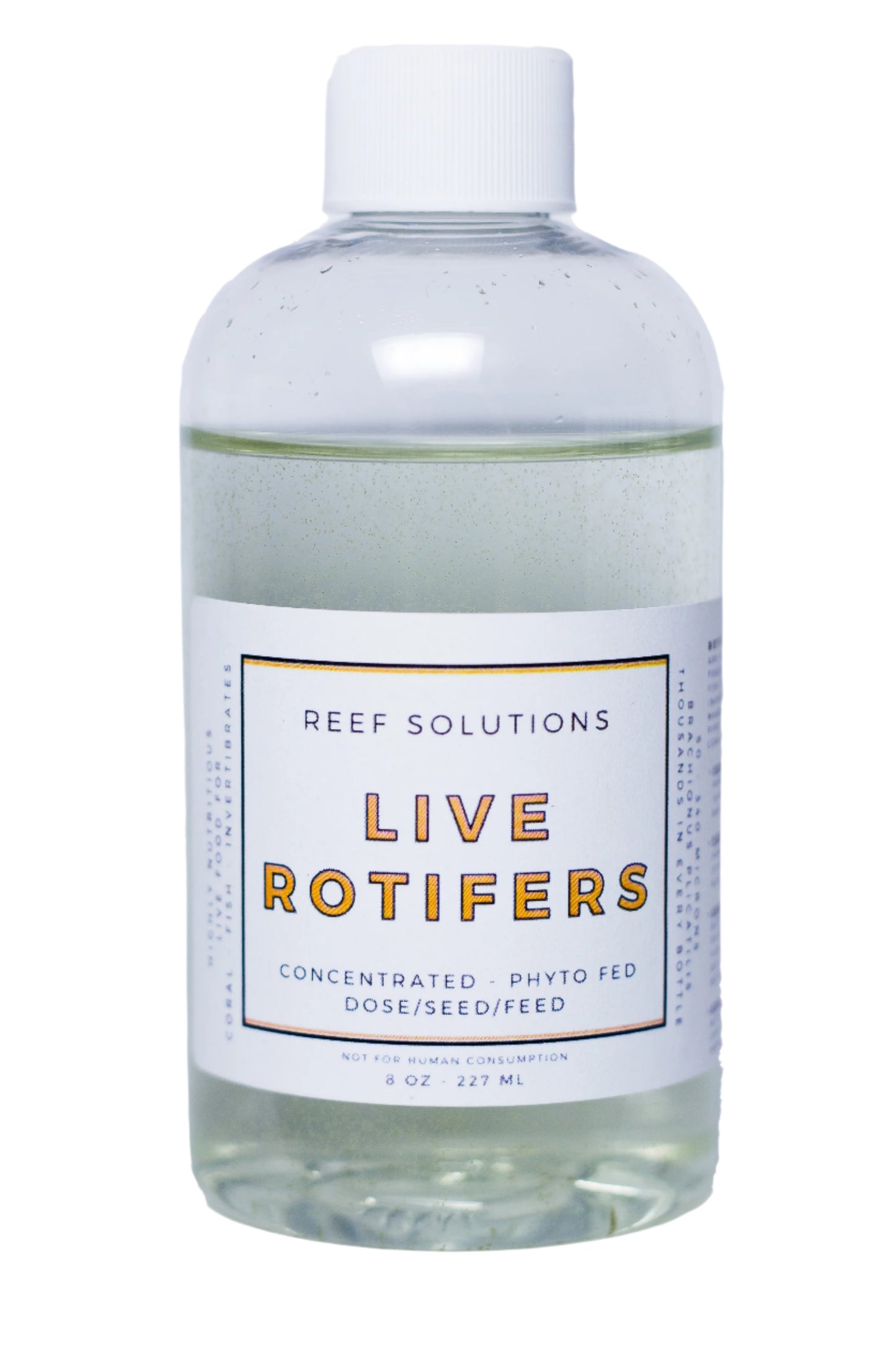 Custom Order - Live Rotifers - Zooplankton - 500 ml
