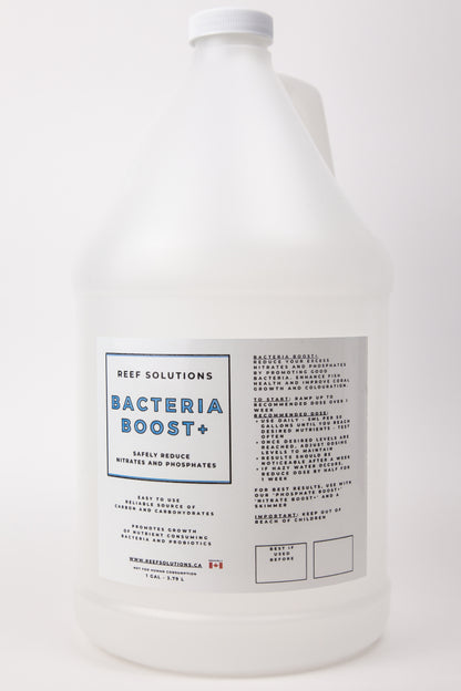 Bacteria Boost+ Biological Enhancer and Nutrient Control - 3.79 L / 1 Gallon