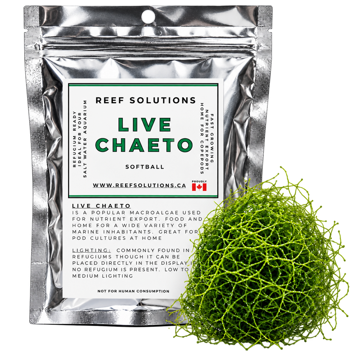 Reef Solutions - Live Chaetomorpha Macroalgae (Chaeto) - Softball Portion