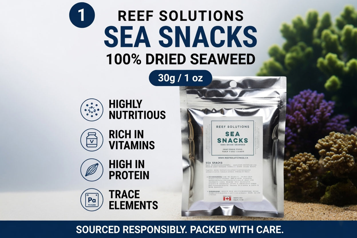 Sea Snacks - Dried Seaweed - 30g / 1 oz