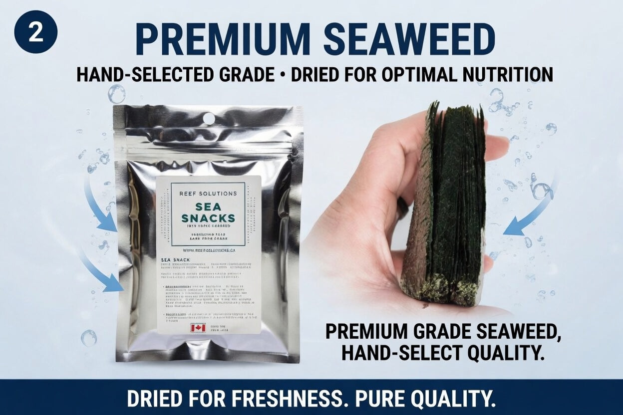 Sea Snacks - Dried Seaweed - 30g / 1 oz