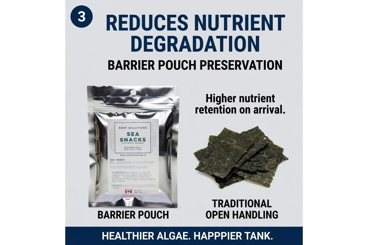 Sea Snacks - Dried Seaweed - 30g / 1 oz