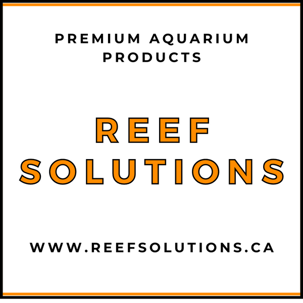 Reef Solutions