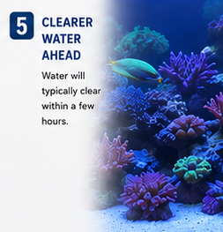 Clarity Boost+ Water Clarifier and Filtration Enhancer - 500 ml