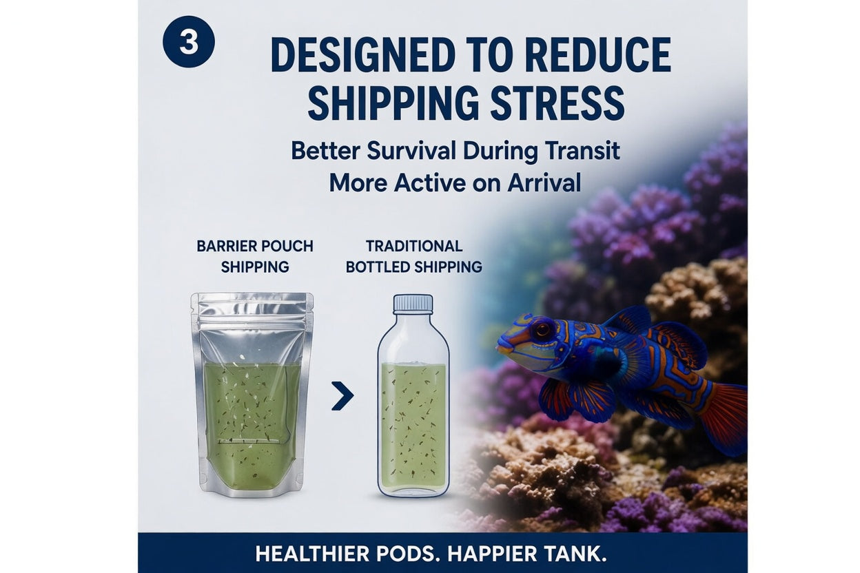 Live Triggers - Tigriopus Californicus Live Copepods - 500 ml