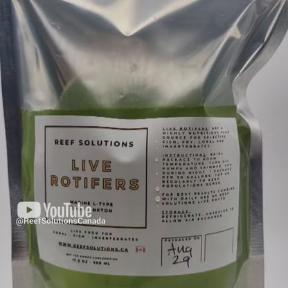 Custom Order - Live Rotifers - Zooplankton - 500 ml